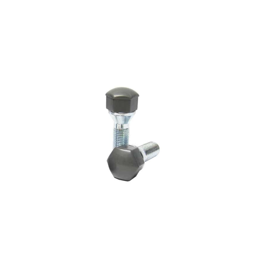 Eibach S17-G SW17 Wheel Bolts Cap