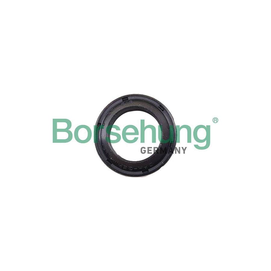 Borsehung B17833 Seal Ring
