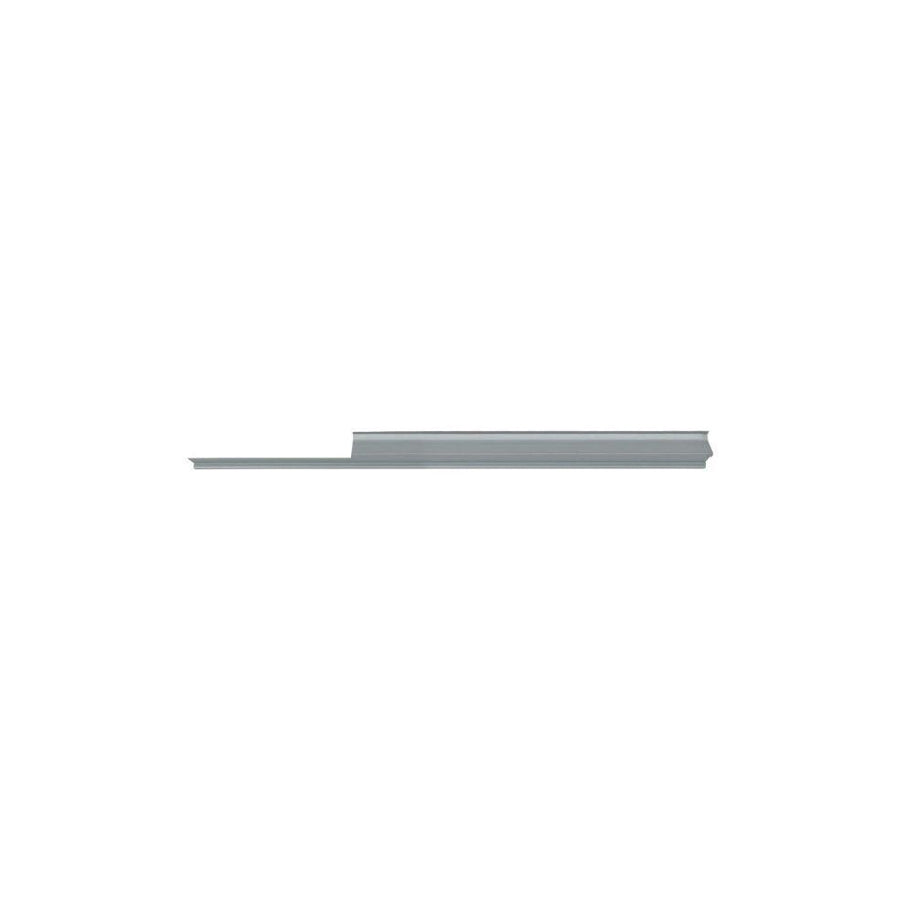 Blic 6601-01-6033808P Repair Panel For Renault Clio