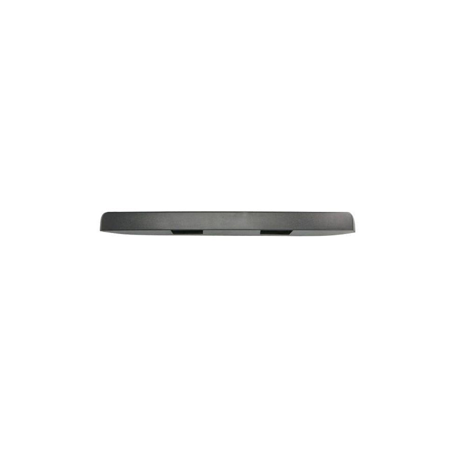 Blic 5703-06-3547579P Door Molding Suitable for Mercedes-Benz Sprinter