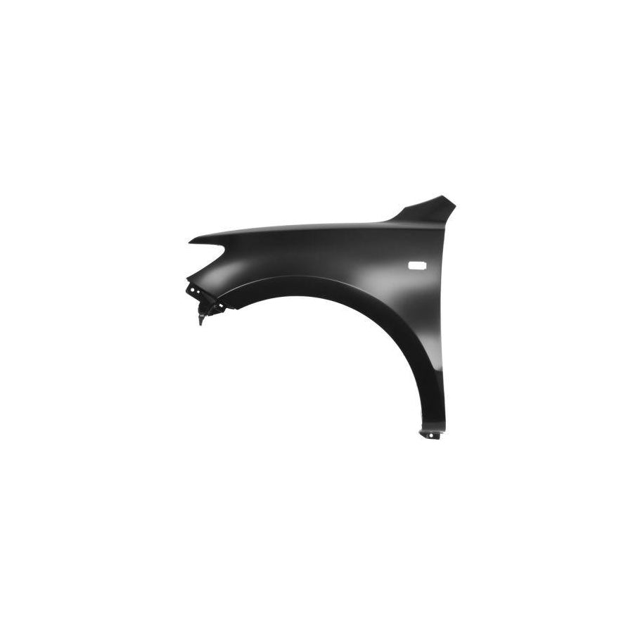 Blic 6504-04-3181317P Wing Fender for Hyundai Santa Fe II (CM)