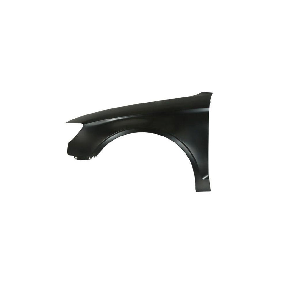 Blic 6504-04-0027315P Wing Fender for Audi A3