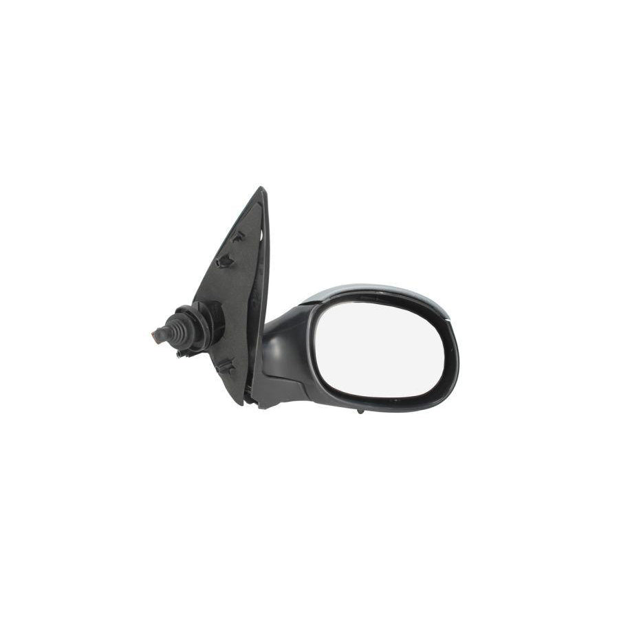 Blic 5402-04-1121532P Wing Mirror for Peugeot 206