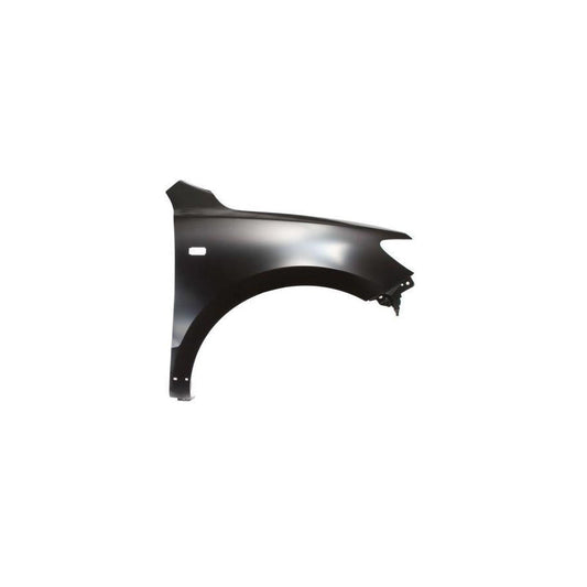 Blic 6504-04-3181316P Wing Fender for Hyundai Santa Fe II (CM)