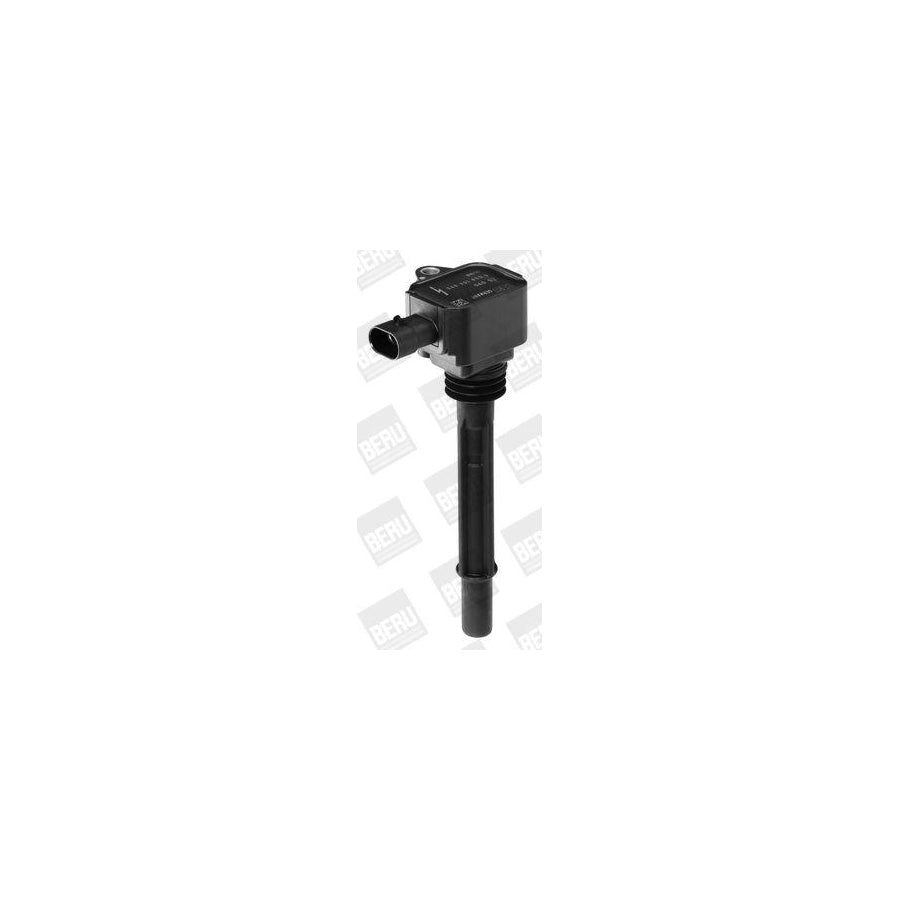 Beru Ger008 Alternator Regulator