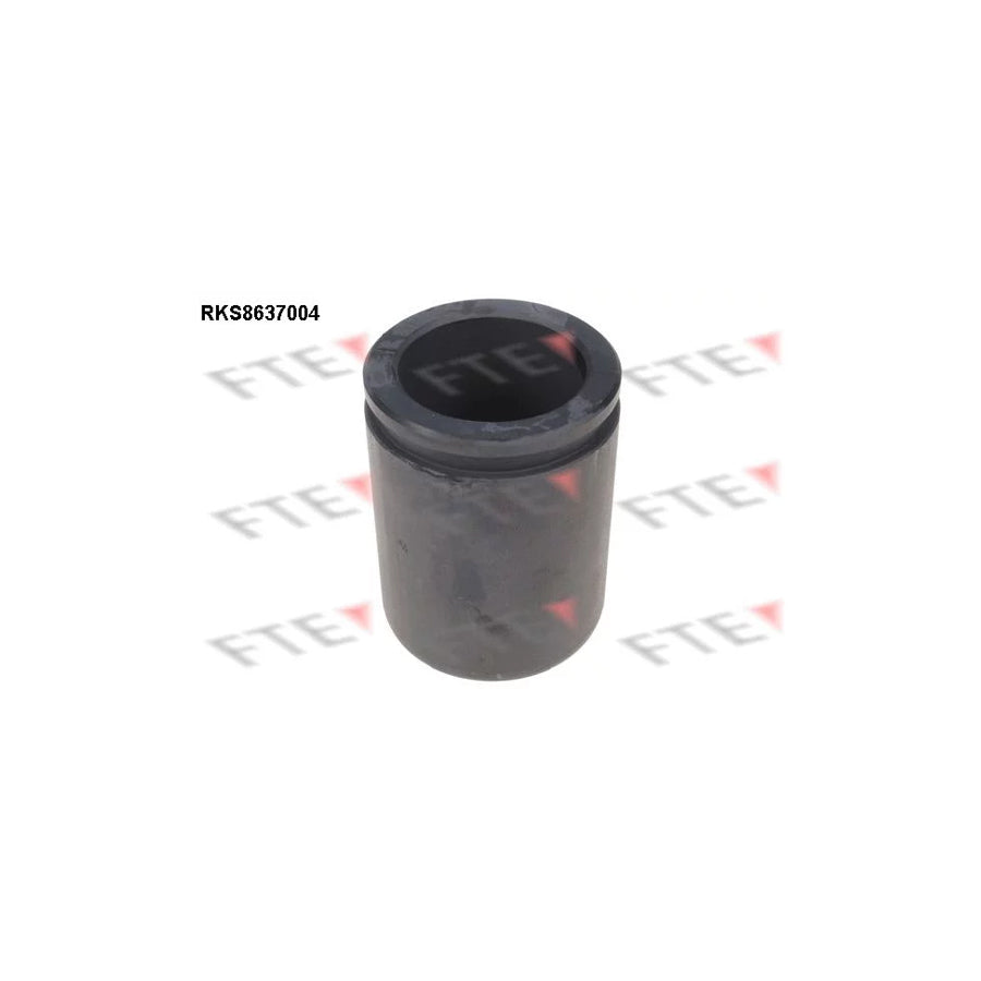 FTE Rks8637004 Piston, Brake Caliper