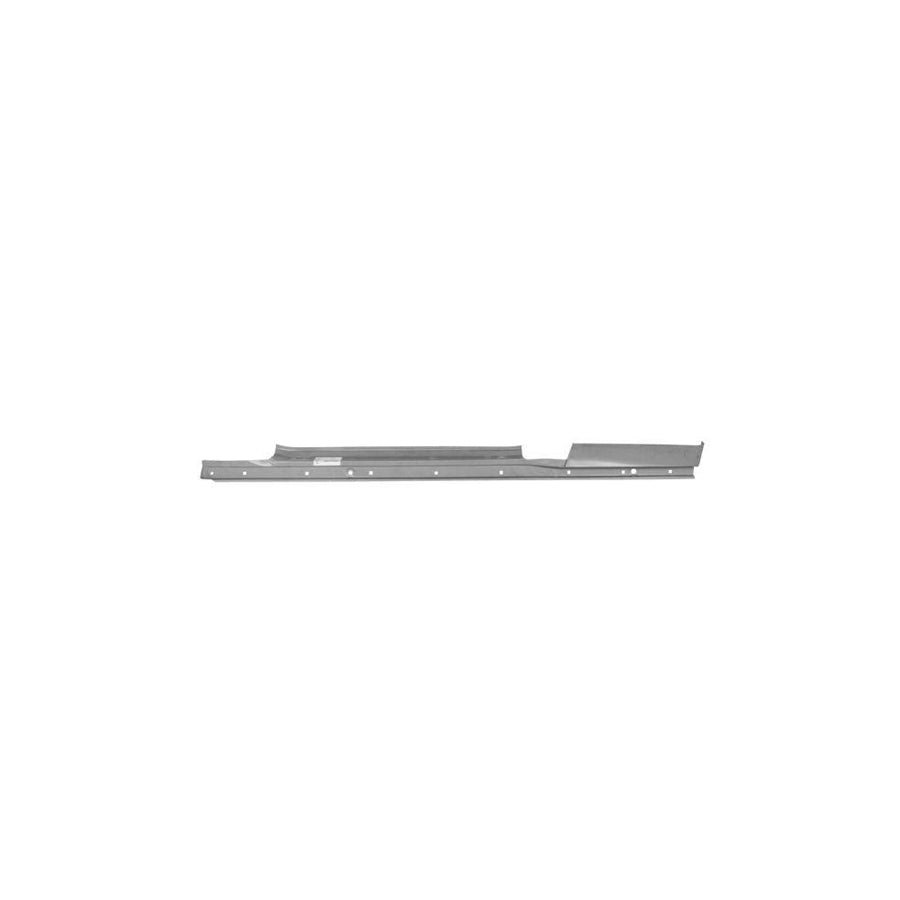 Blic 6601-01-6032834P Repair Panel For Renault Symbol / Thalia I (Lb)