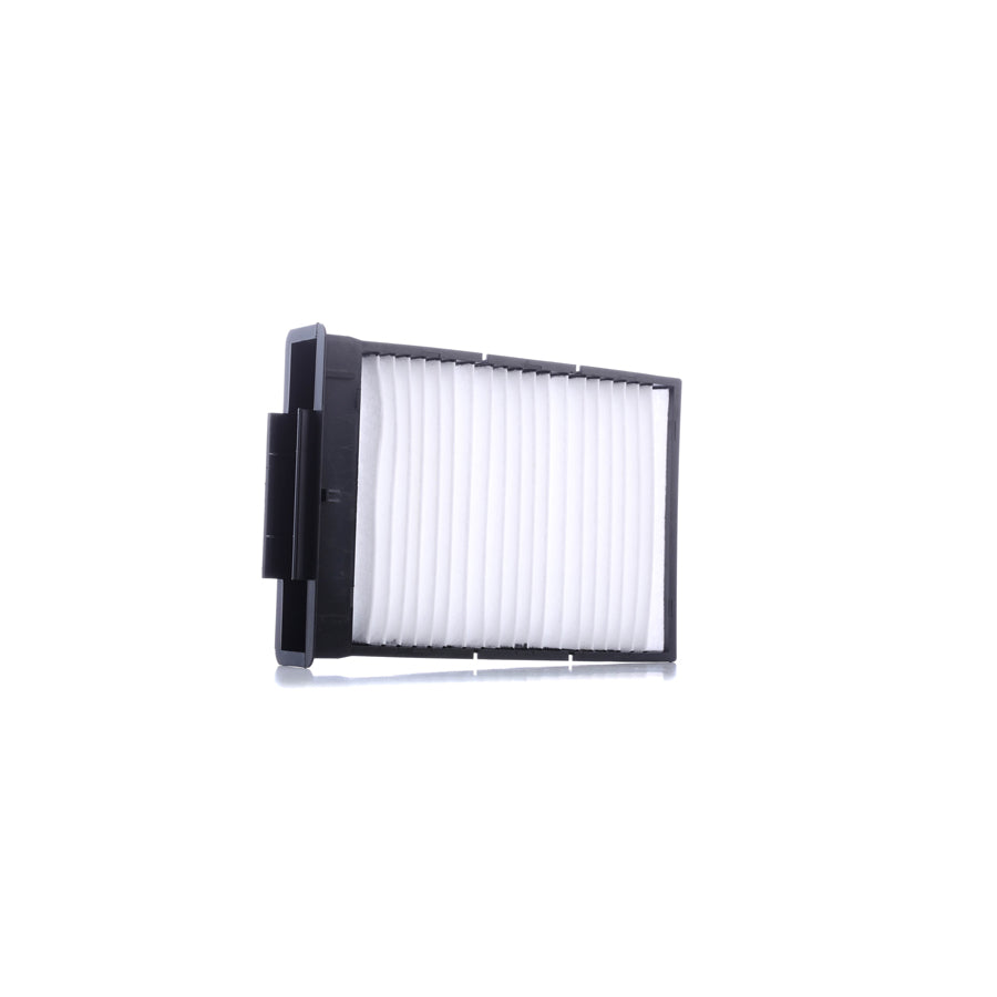 Master Sport 2317-IF-PCS-MS Pollen Filter