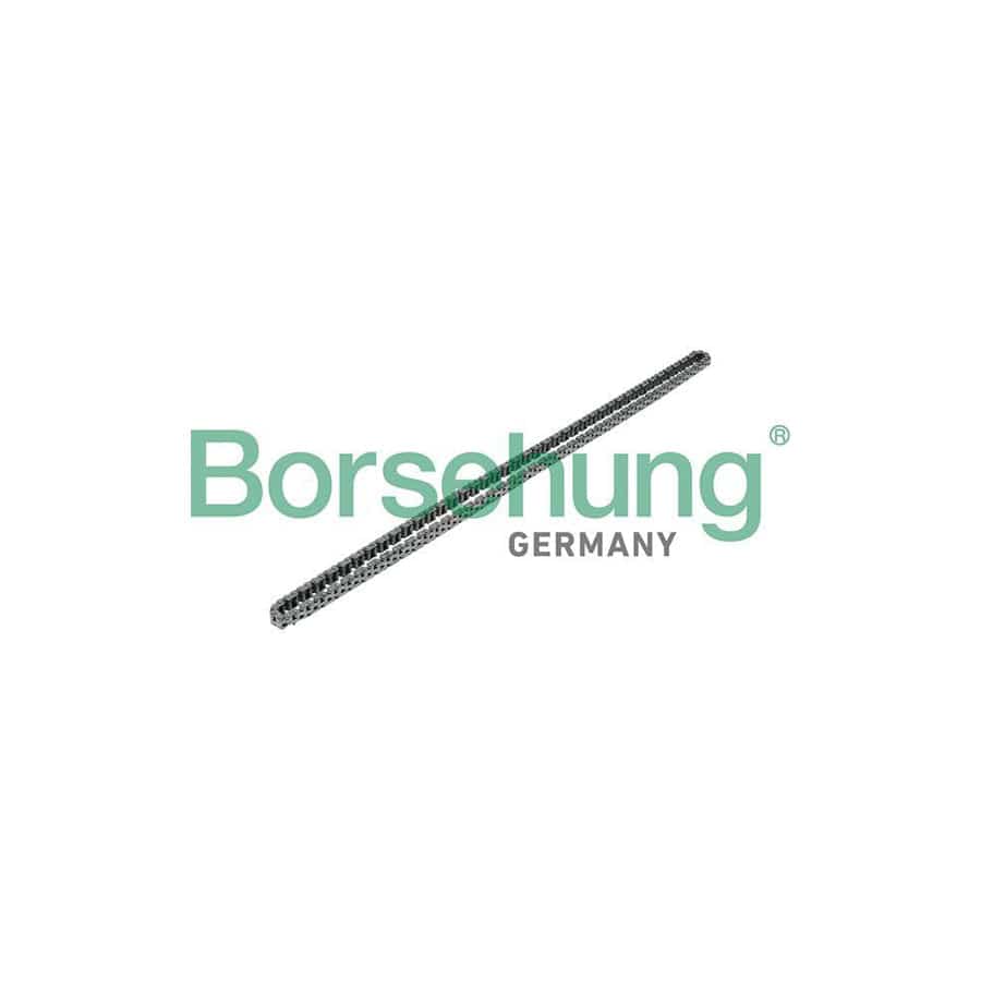 Borsehung B17908 Timing Chain