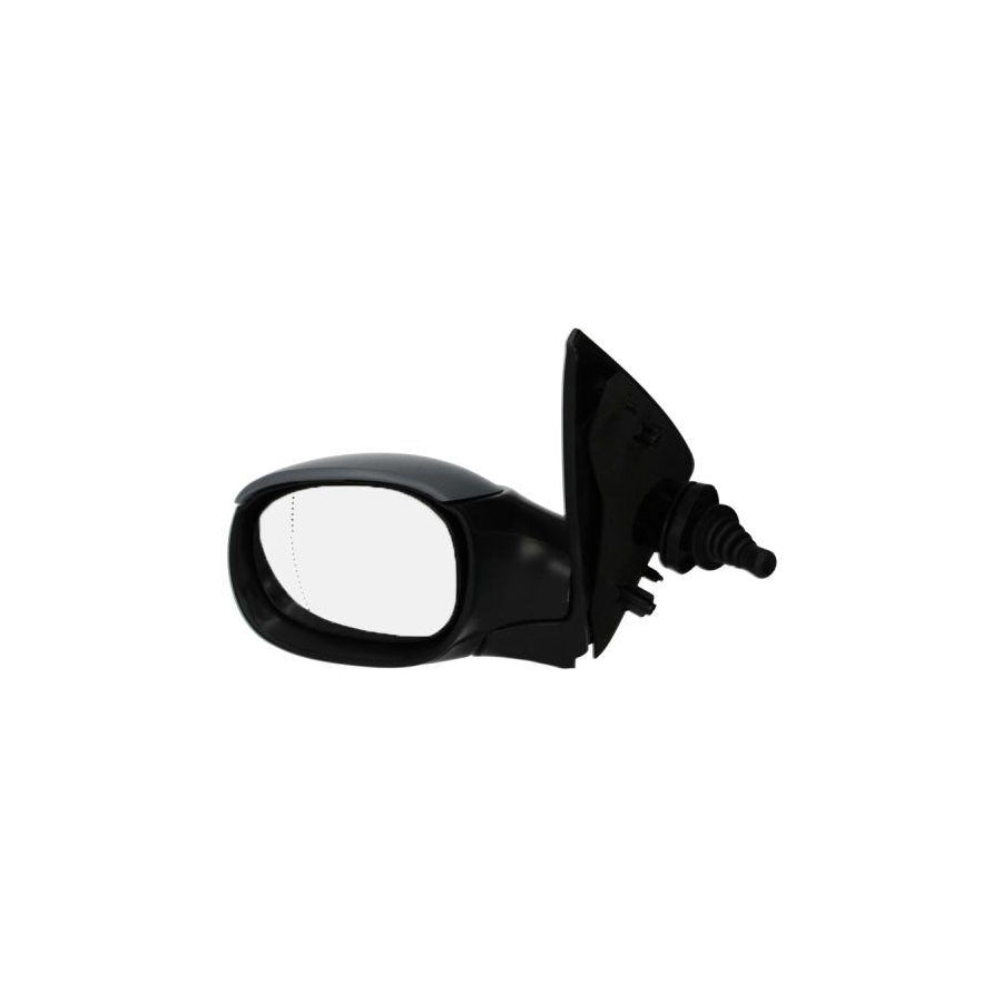 Blic 5402-04-1121531P Wing Mirror for Peugeot 206