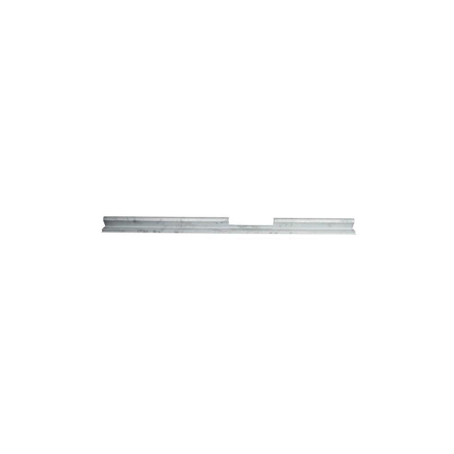 Blic 6601-01-6038813P Repair Panel For Renault Megane Scenic (Ja)