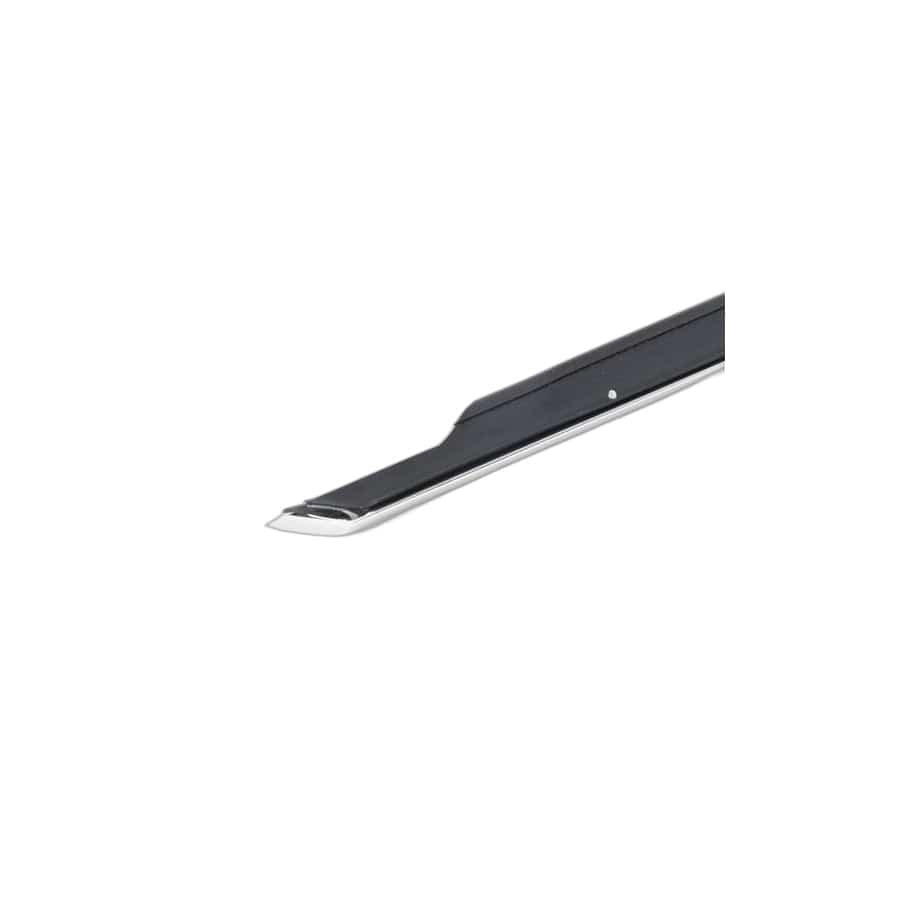Genuine BMW 51357298917 F31 F30 Channel Sealing,Outside,Door, Front Left ALU MATT (Inc. 320iX, 325d & 318d)