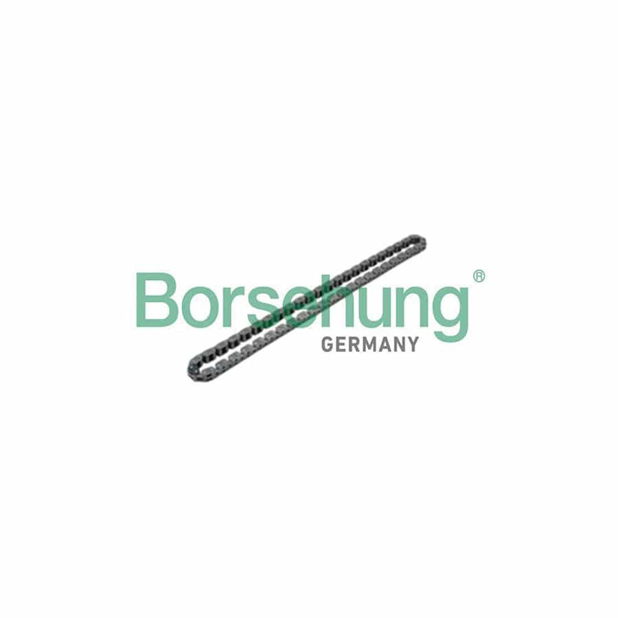 Borsehung B17905 Chain, Oil Pump Drive