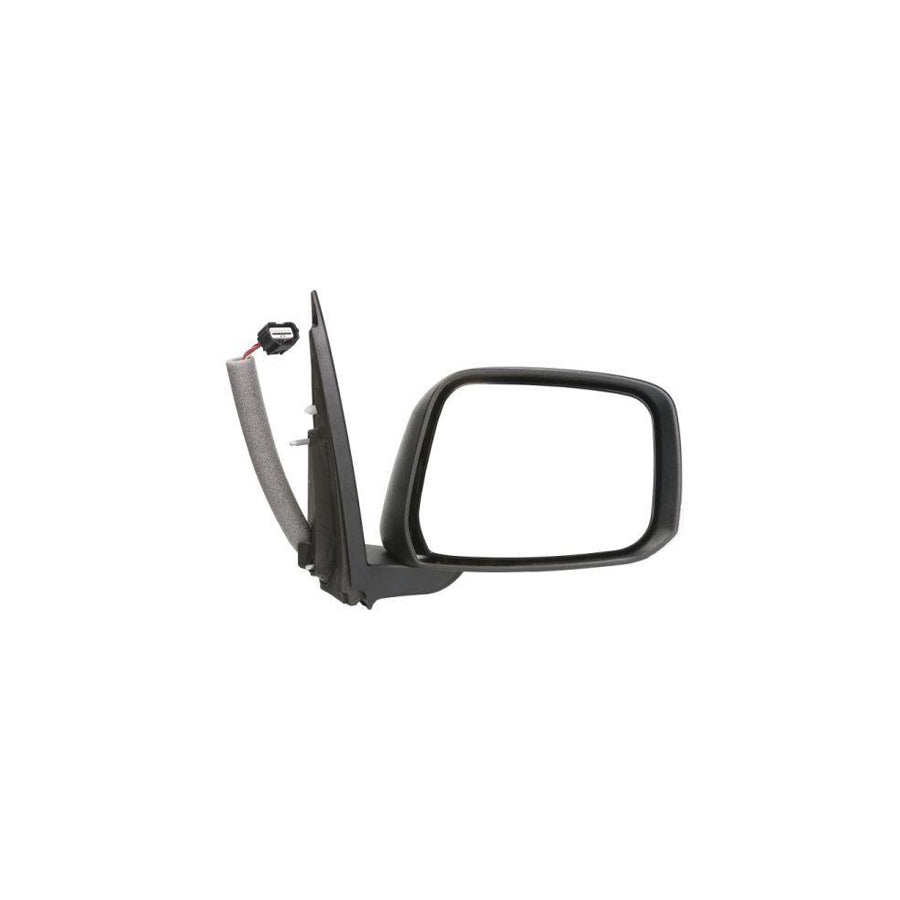 Blic 5402-16-2001930P Wing Mirror