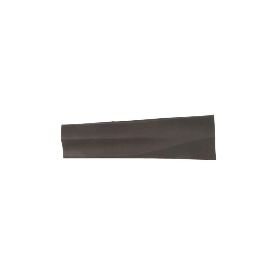 Blic 5703-06-8178578P Door Molding for Toyota Rav4 IV Off-Road (Xa40)