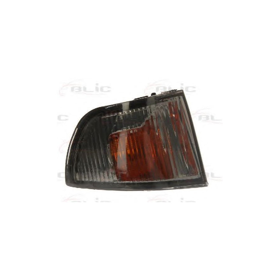Blic 5403-30-003106S Side Indicator for Iveco Daily