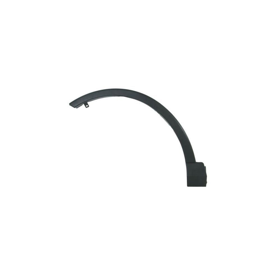 Blic 5703-06-8178574P Trim / Protective Strip, Mudguard for Toyota Rav4 IV Off-Road (Xa40)