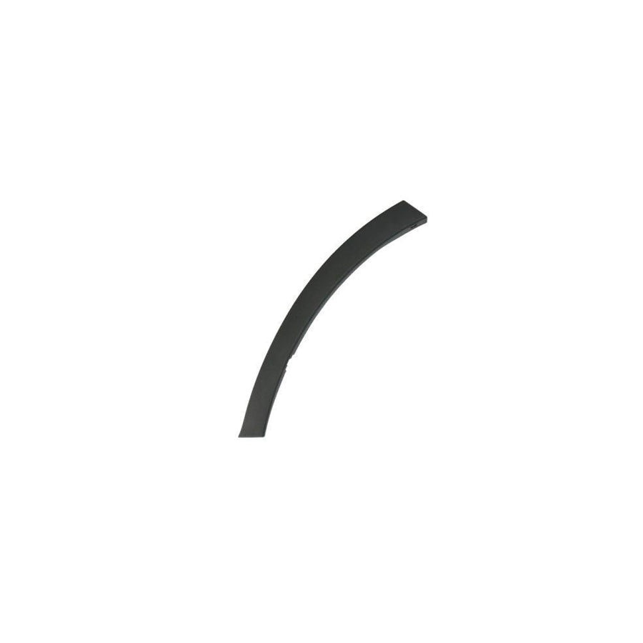Blic 5703-06-8178571P Trim / Protective Strip, Mudguard for Toyota Rav4 IV Off-Road (Xa40)