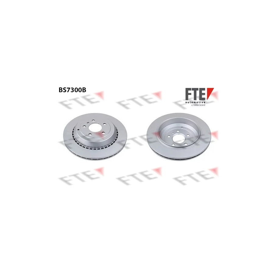 FTE Bs7300B Brake Disc