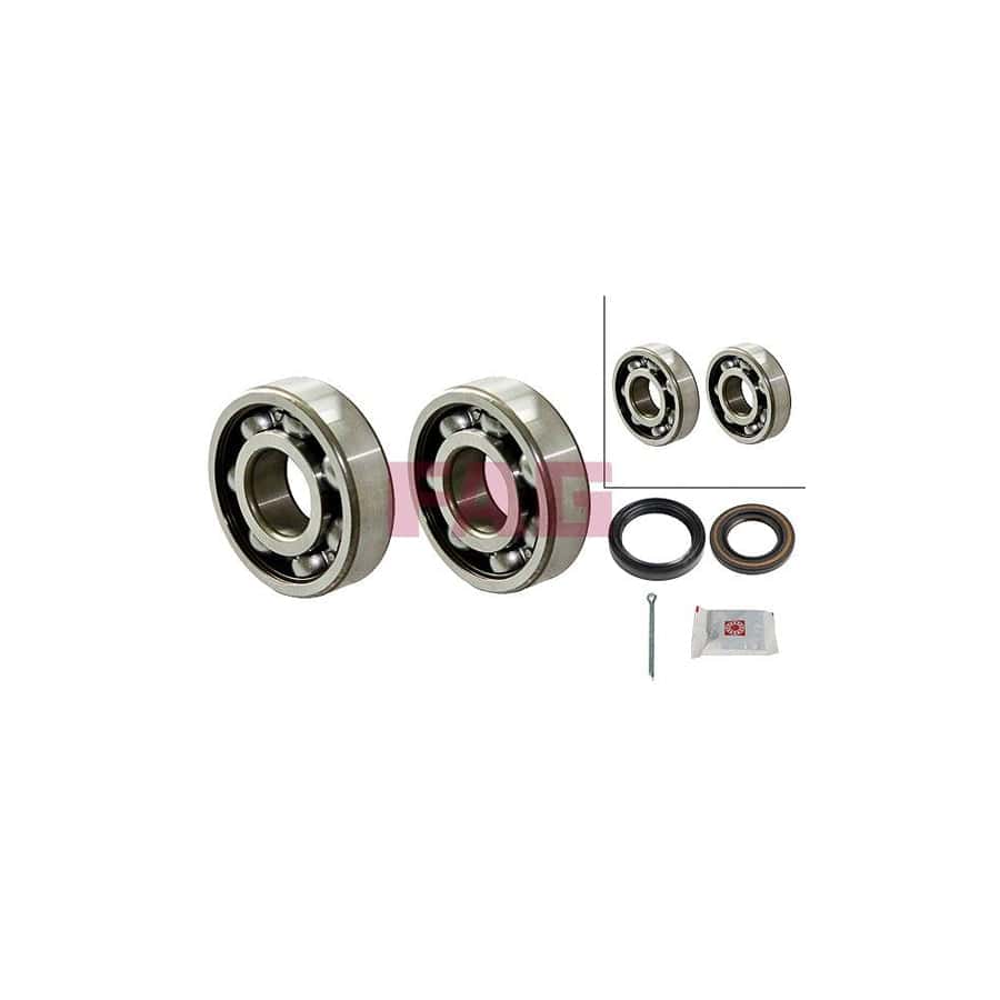 FAG 713 6220 20 Wheel Bearing Kit
