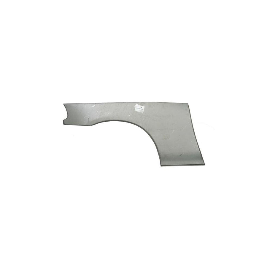 Blic 6601-01-6036831P Repair Panel For Renault 19
