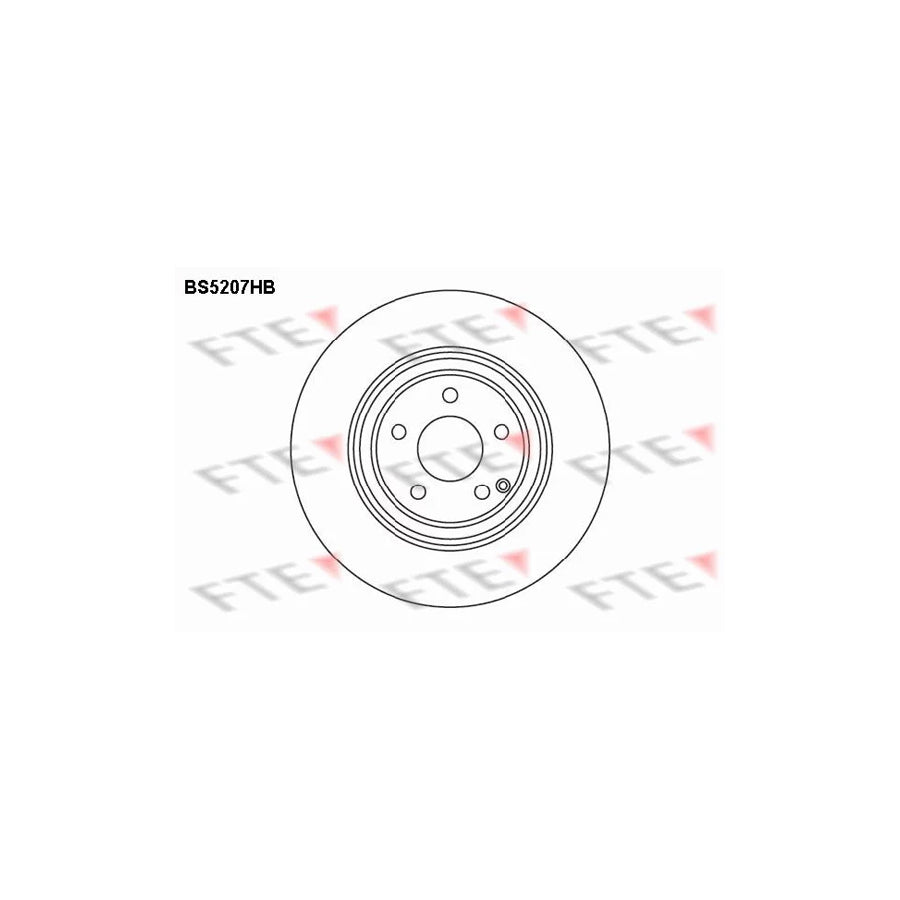 FTE 9082552 Brake Disc Suitable for Mercedes-Benz S-Class
