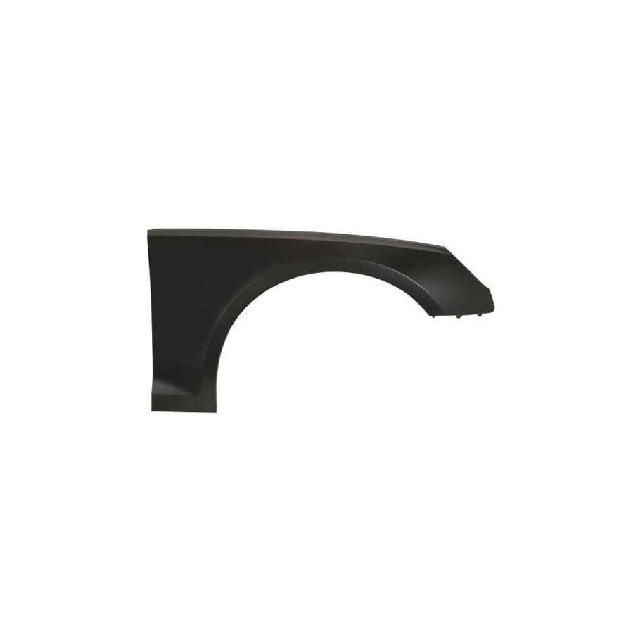 Blic 6504-04-0030314P Wing Fender for Audi A4