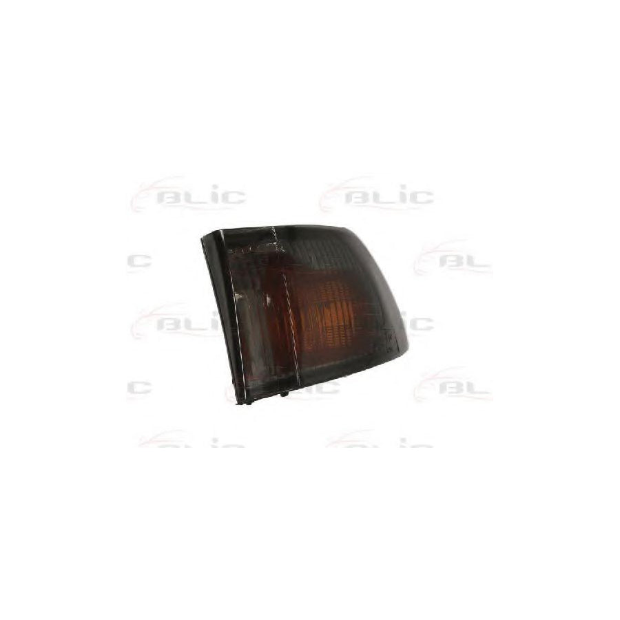 Blic 5403-30-003105S Side Indicator for Iveco Daily