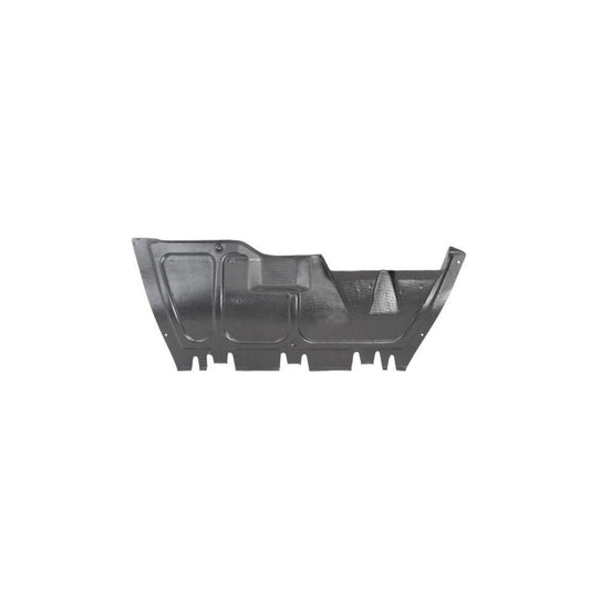 Blic 6601-02-9514860P Engine Cover for VW New Beetle