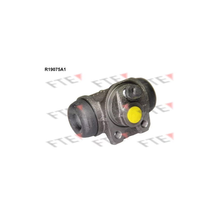 FTE R19075A1 Wheel Brake Cylinder