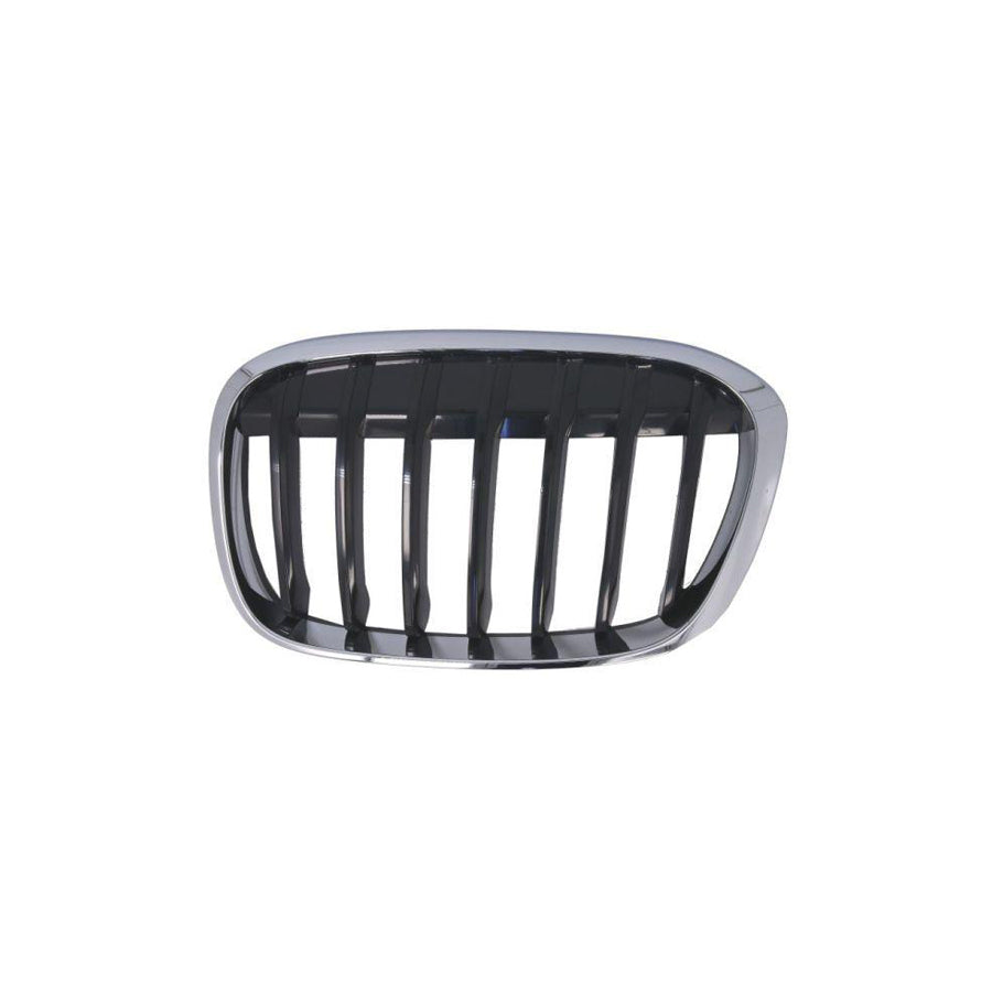 Blic 6502-07-0082993P Radiator Grille for BMW X1 (F48)
