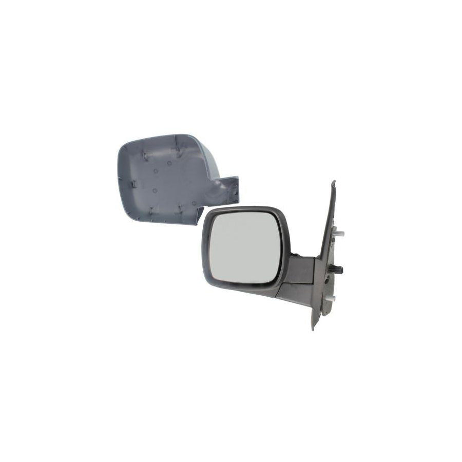 Blic 5402-04-1121549P Wing Mirror for Renault Kangoo