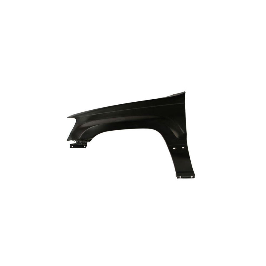 Blic 6504-04-3204311P Wing Fender for Jeep Grand Cherokee II (Wj, Wg)