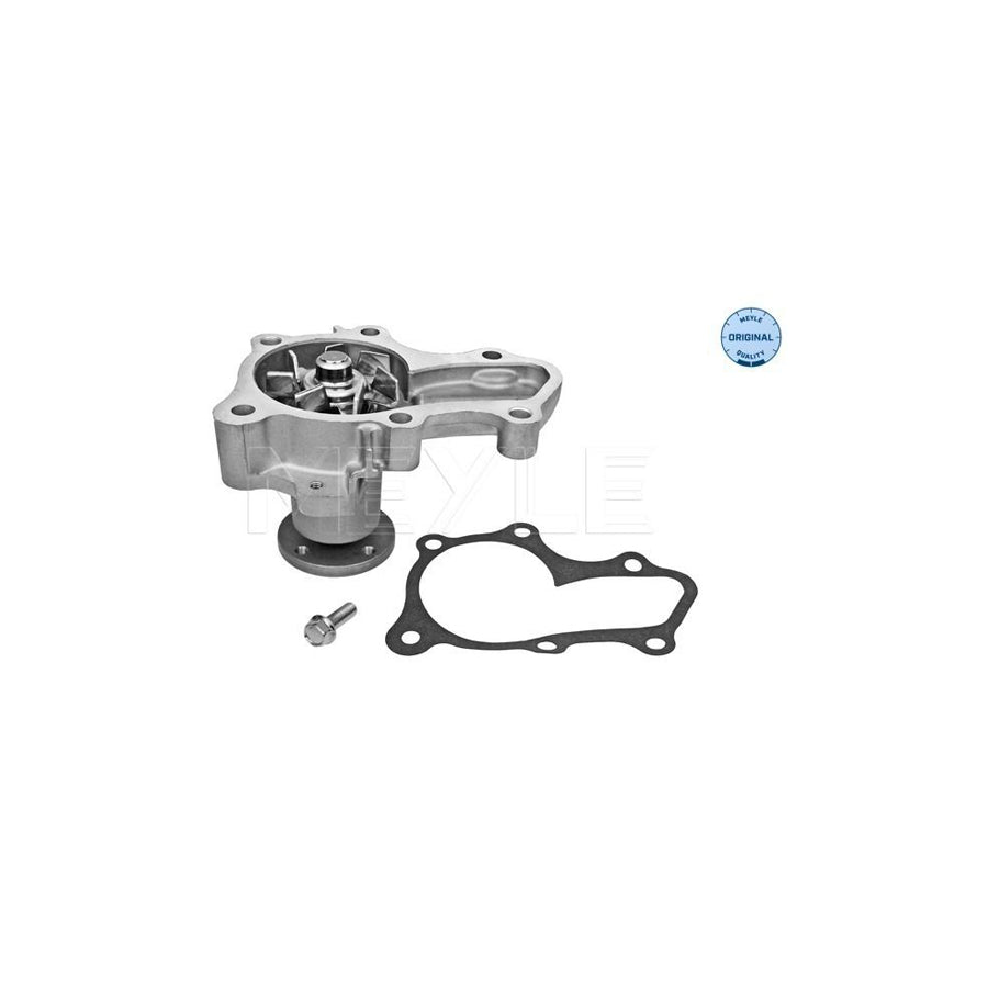 Meyle 32-13 220 0004 Water Pump