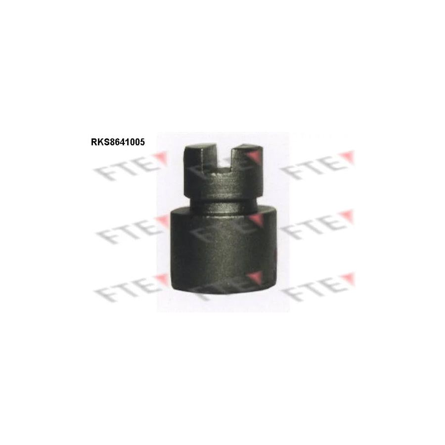 FTE Rks8641005 Piston, Brake Caliper
