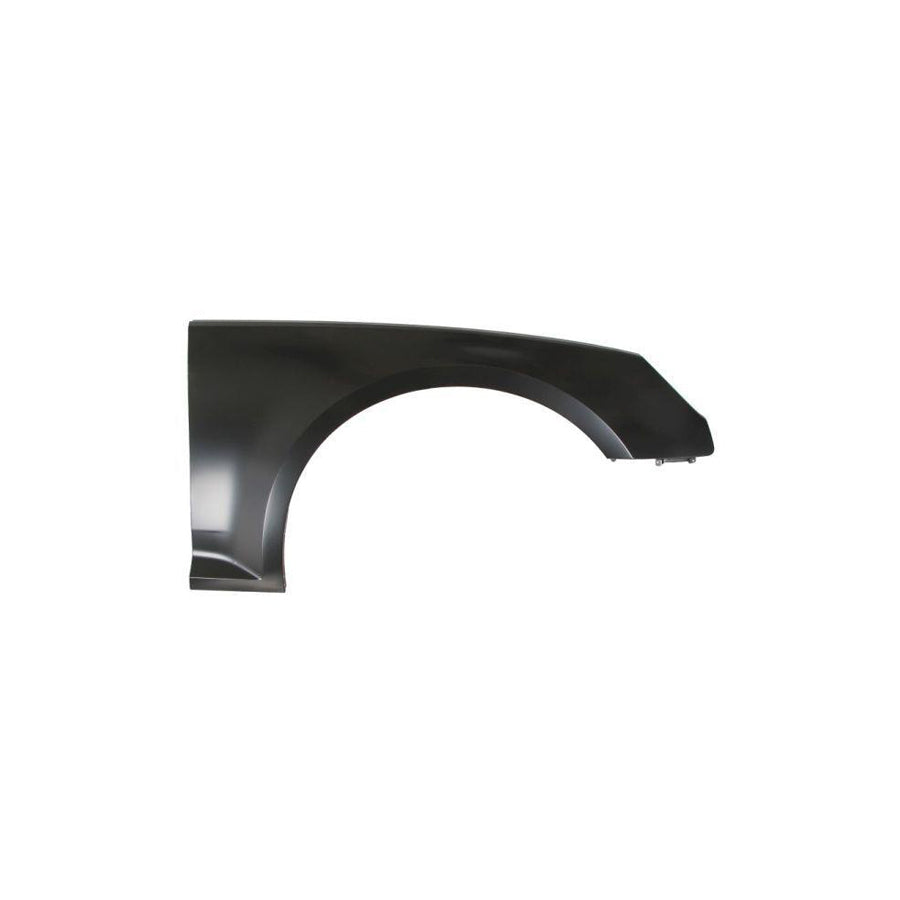 Blic 6504-04-0030312P Wing Fender for Audi A4