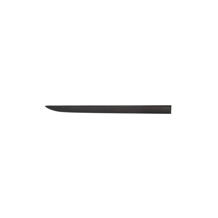 Blic 5703-04-5024572Pp Door Molding for Opel Corsa D Hatchback (S07)