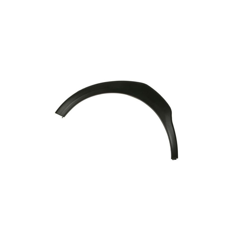 Blic 5703-06-6740571P Trim / Protective Strip, Mudguard