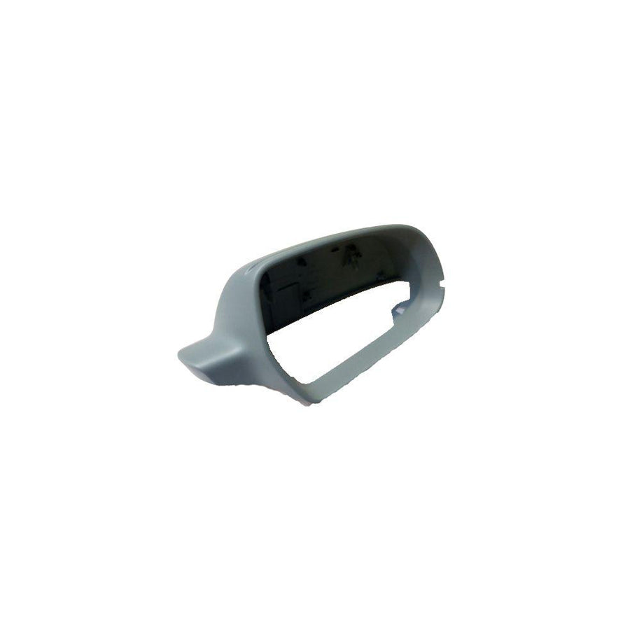 BUGIAD Bsp24874 Cover, Outside Mirror