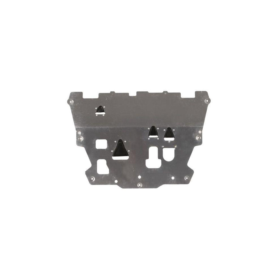 Blic 6601-02-9041861Ap Engine Cover
