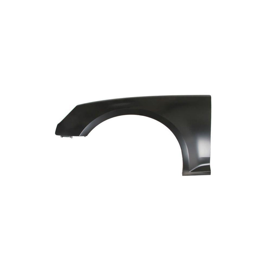 Blic 6504-04-0030311P Wing Fender for Audi A4