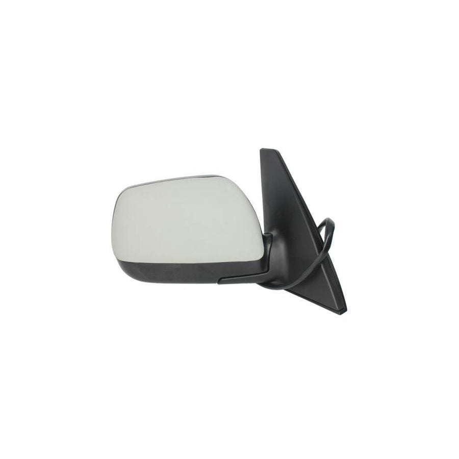 Blic 5402-04-1121544P Wing Mirror for Toyota Rav4 II Off-Road (Xa20)
