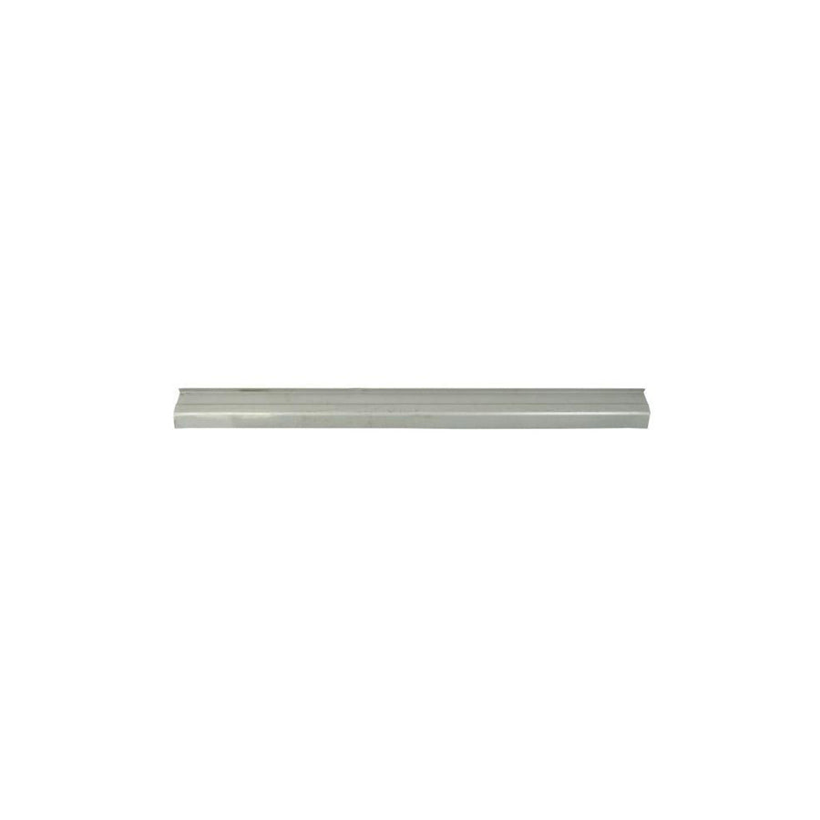 Blic 6601-01-6044802Q Repair Panel For Renault Megane