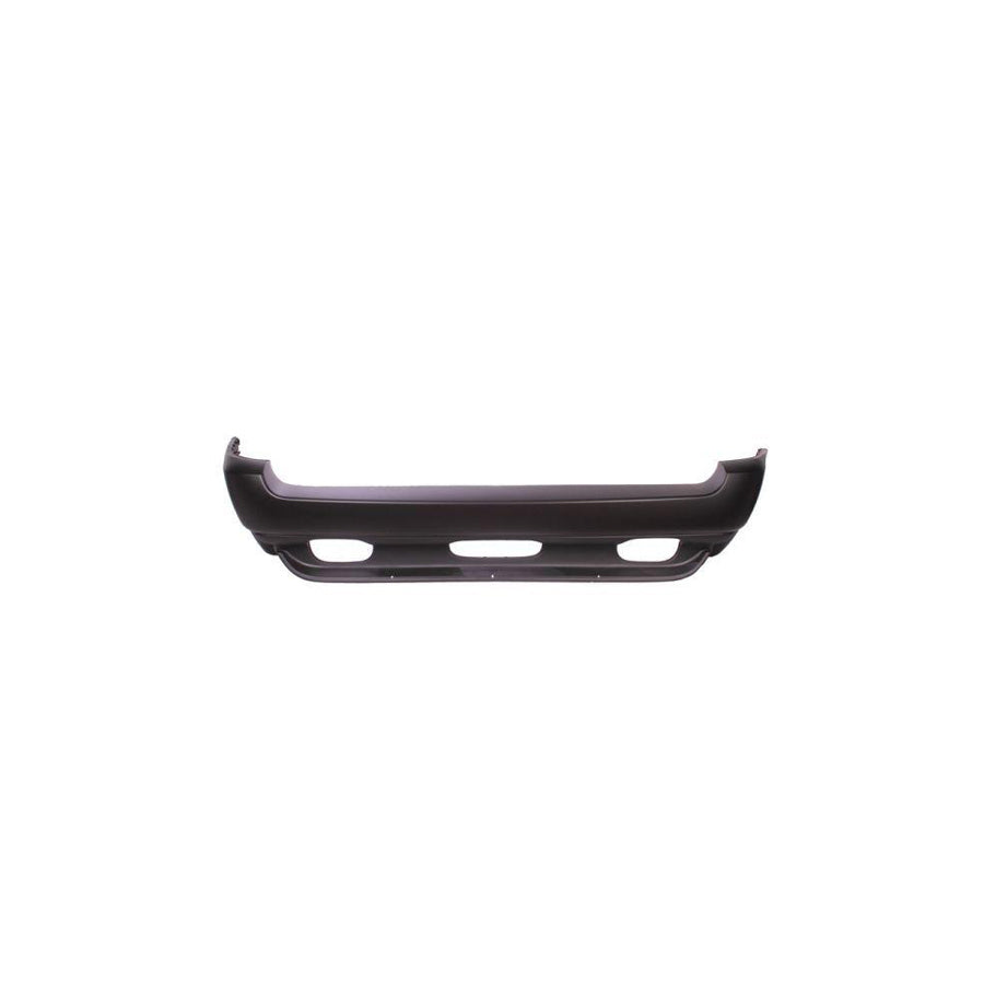 Blic 5506-00-0095953P Rear Bumper for BMW X5 (E53)