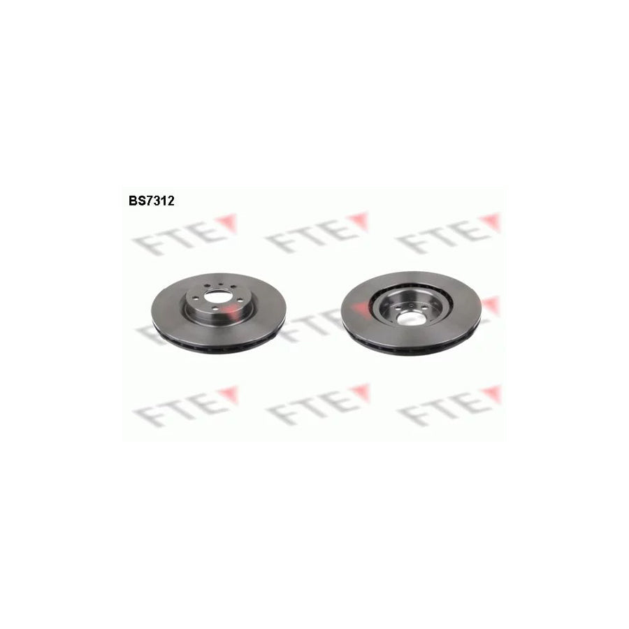 FTE Bs7312 Brake Disc for Fiat 500L (351, 352)