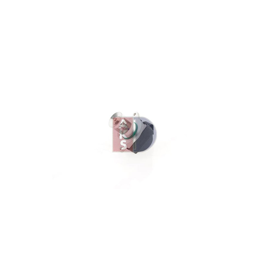 AKS Dasis 125022N Egr Valve