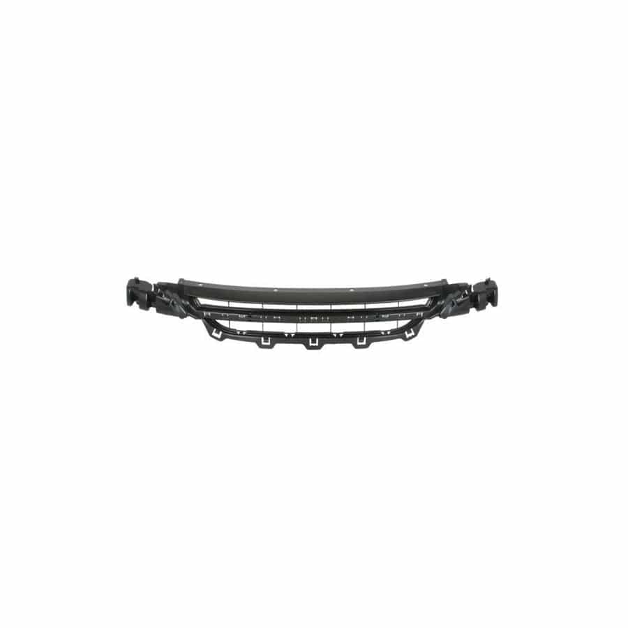 Blic 6502-07-0086910P Bumper Grill for BMW 1 Series