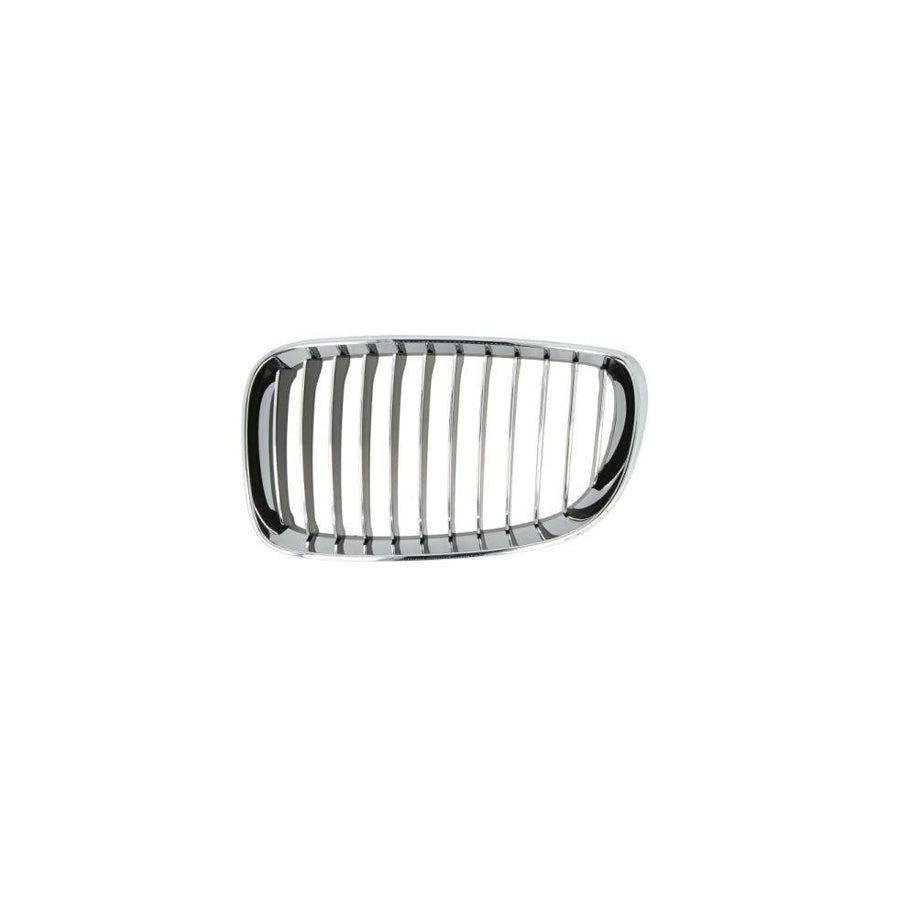 Blic 6502-07-0085997P Radiator Grille for BMW 1 Series