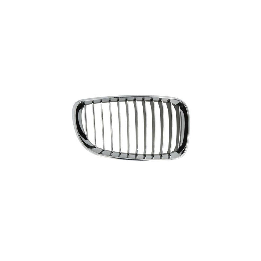 Blic 6502-07-0085996P Radiator Grille for BMW 1 Series