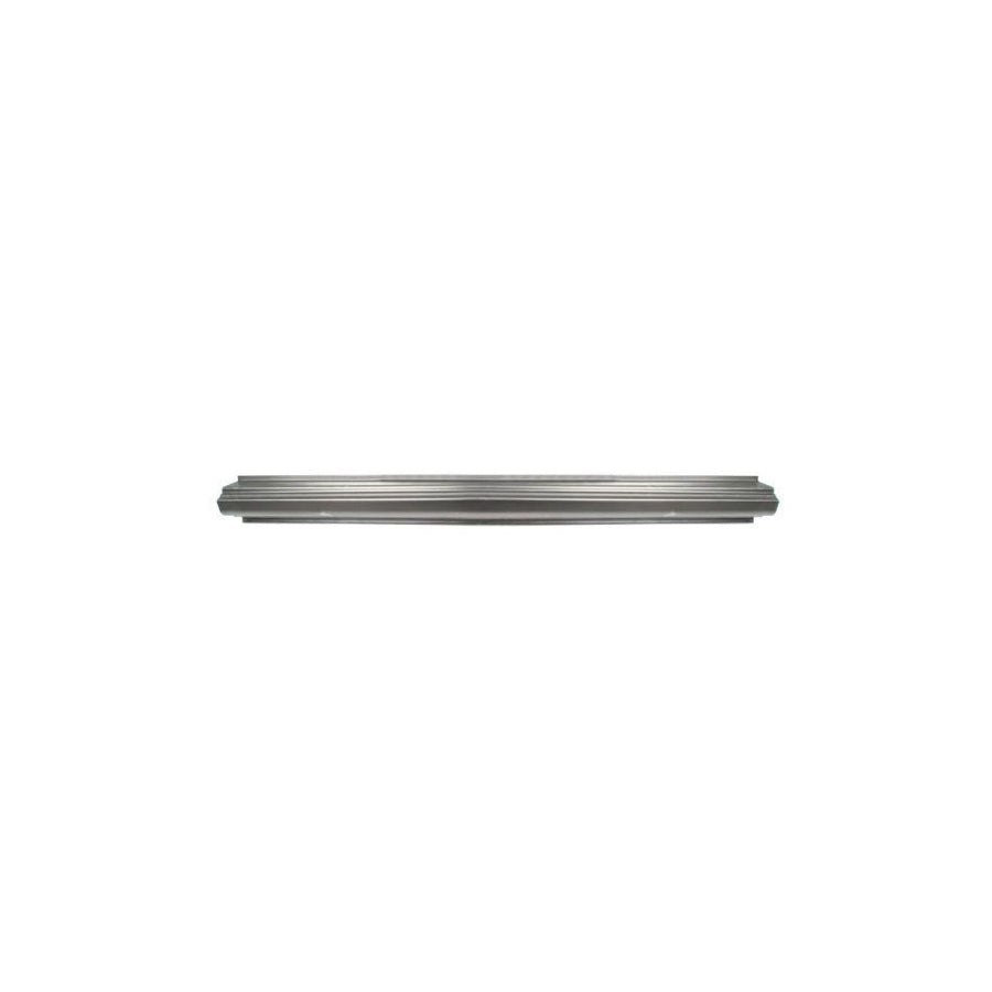 Blic 6505-06-3154017P Rocker Panel for Hyundai Pony